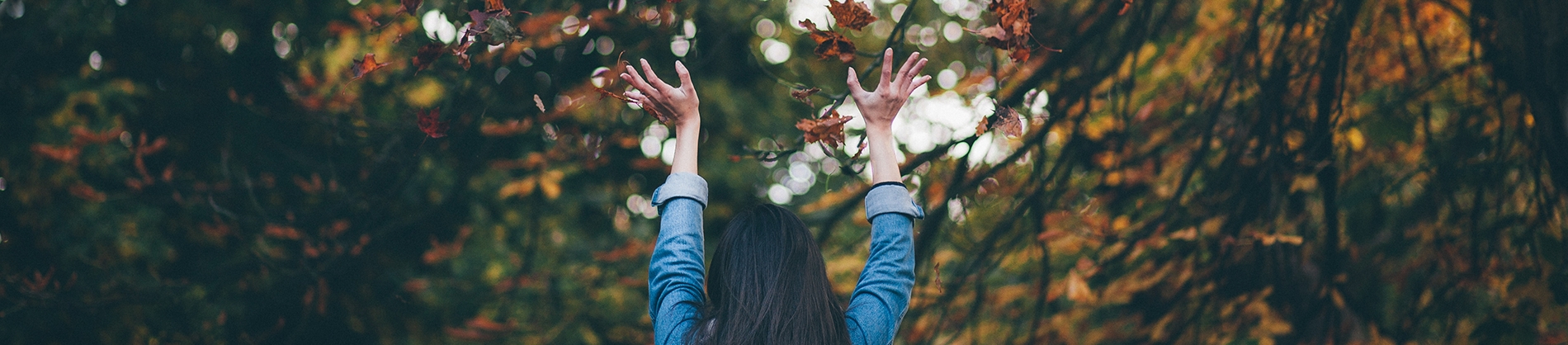 A women with her hands in the air surrounded by autumnal leaves and trees A women with her hands in the air surrounded by autumnal leaves and trees