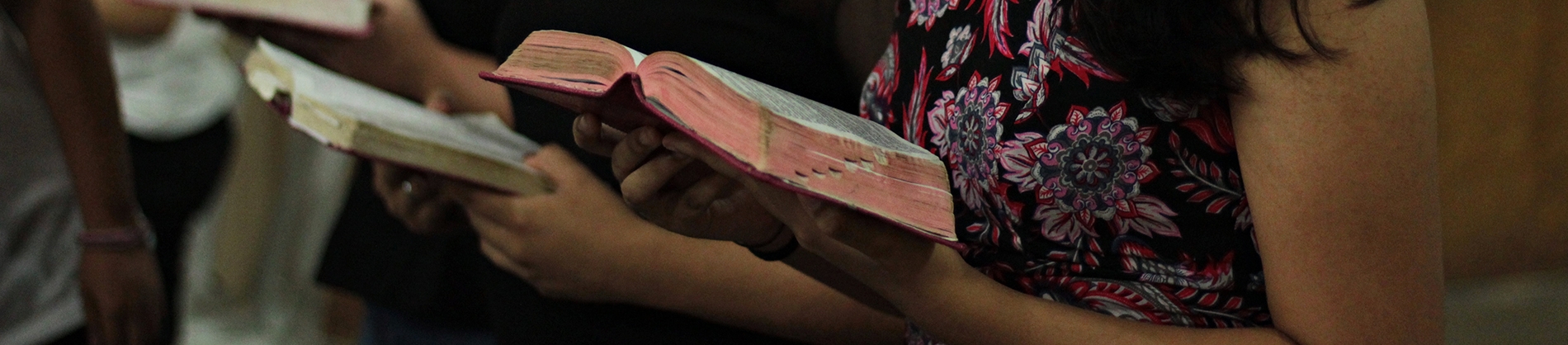 People in church holding bibles open People in church holding bibles open