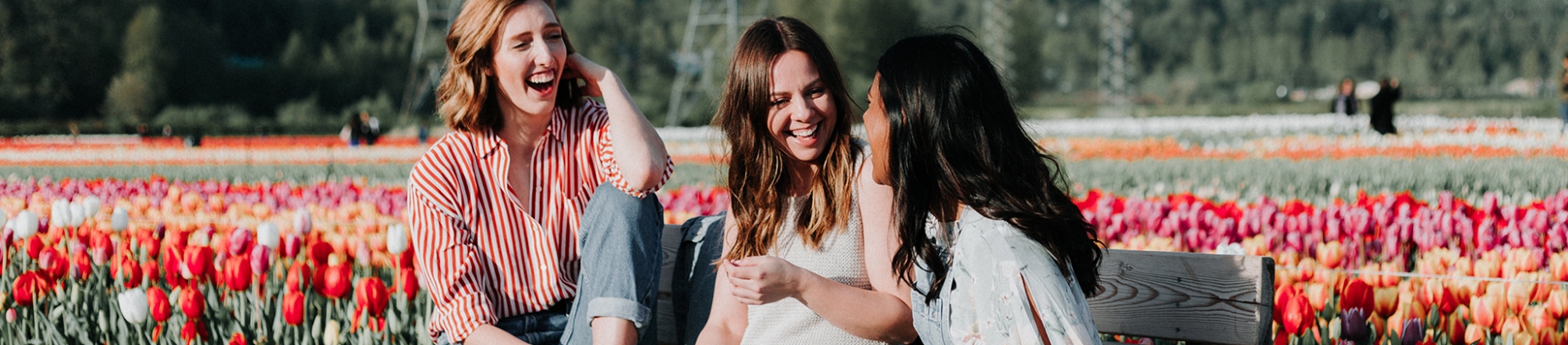 Three women sat amongst flowers laughing together Three women sat amongst flowers laughing together
