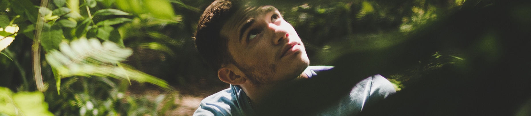 A man looking up through plants into the sunlight A man looking up through plants into the sunlight