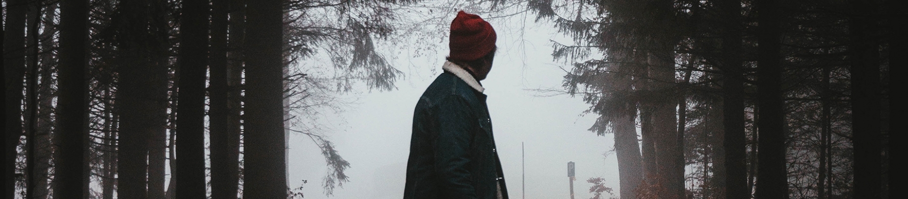 A man looking through a opening in trees A man looking through a opening in trees