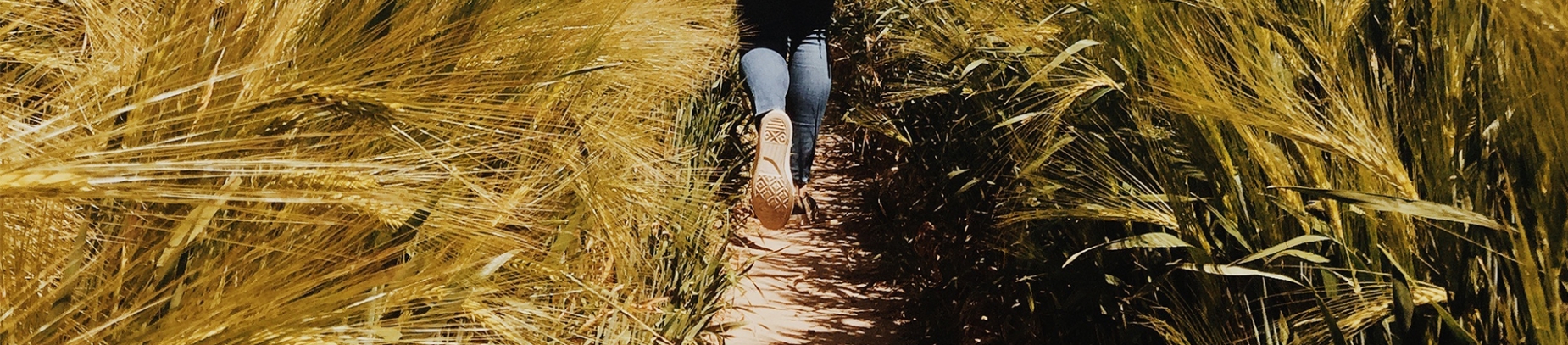A women running down a small path between two overgrown fields A women running down a small path between two overgrown fields
