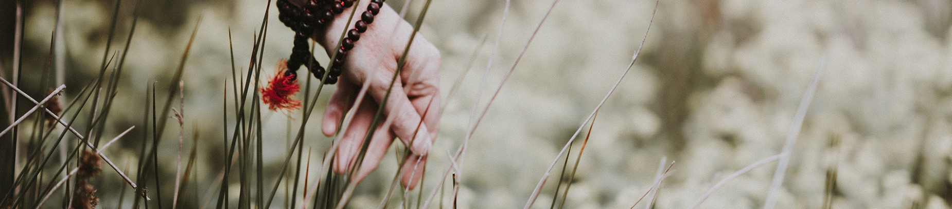 A man brushing his hand across long grass A man brushing his hand across long grass