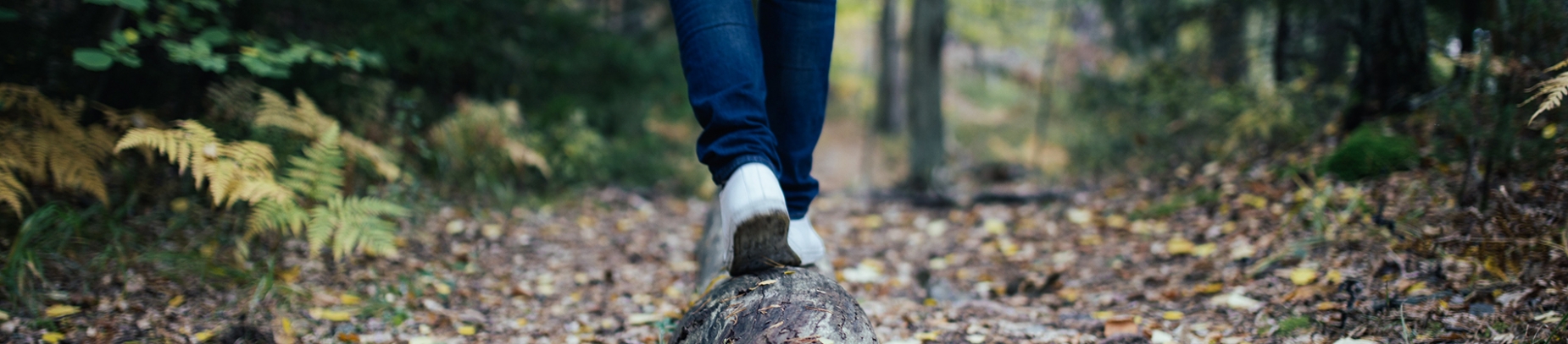 A man walking along a tree trunk A man walking along a tree trunk