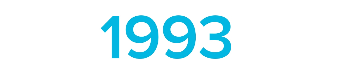1993 1993